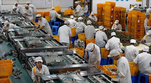 大學生暑假涌向工廠流水線, 月入五六千, 目標就是賺出一臺ipad