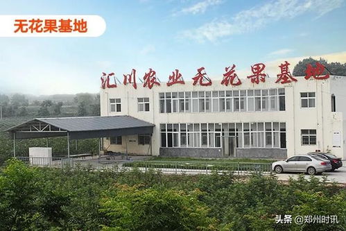 滎陽光明薈等四家企業被滎陽市長點贊