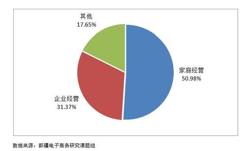 新疆旅游電子商務發展調研報告 2017